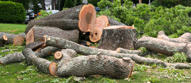 Best Aeration Services  in Greenwood Village, CO